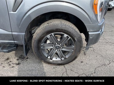 2023 Ford F-150 XLT 5.0 V8 LONG BOX