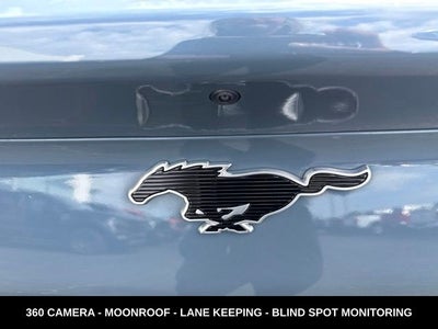 2023 Ford Mustang Mach-E California Route 1 AWD