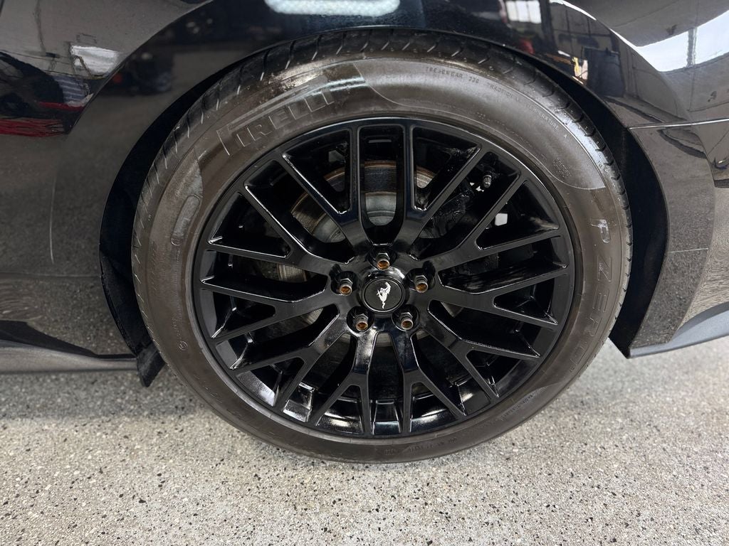 2019 Ford Mustang GT Premium