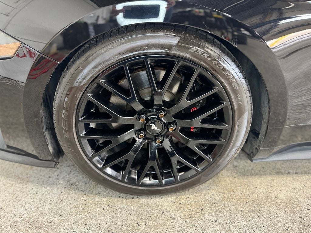 2019 Ford Mustang GT Premium