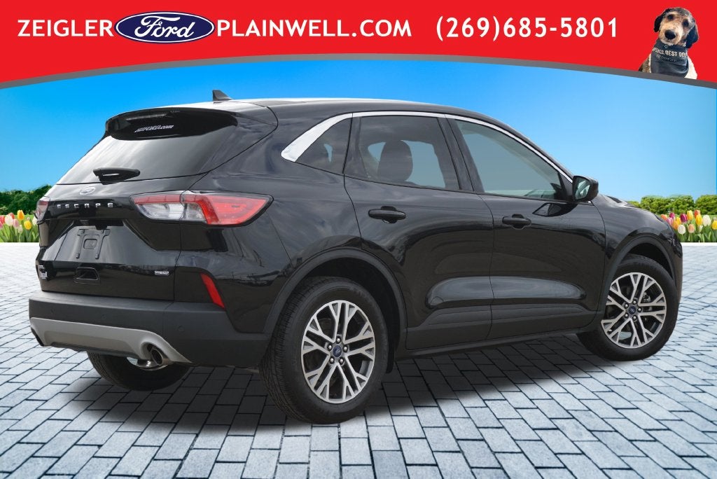 2022 Ford Escape Hybrid SEL